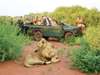 Impodimo Game Lodge - Game Drive 